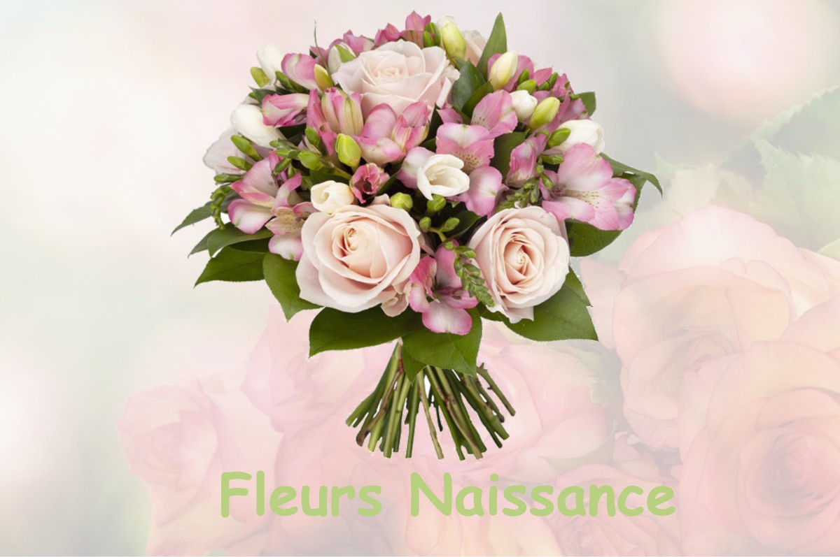 fleurs naissance FRASNAY-REUGNY